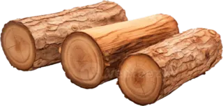 Trozo de madera